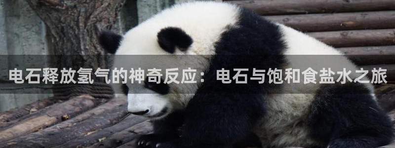 威九国际精