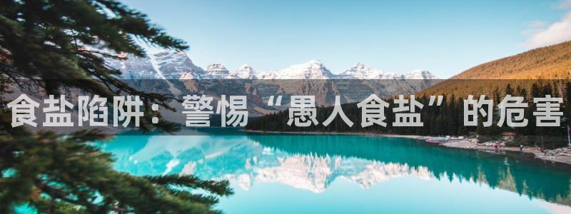 威九国际韩国