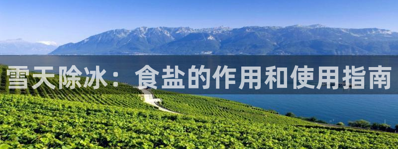 威九国际78mb下载