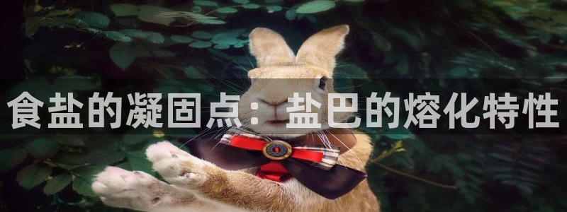 威九国际可以提现吗现在