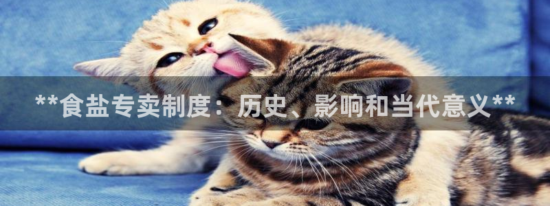 威九国际78