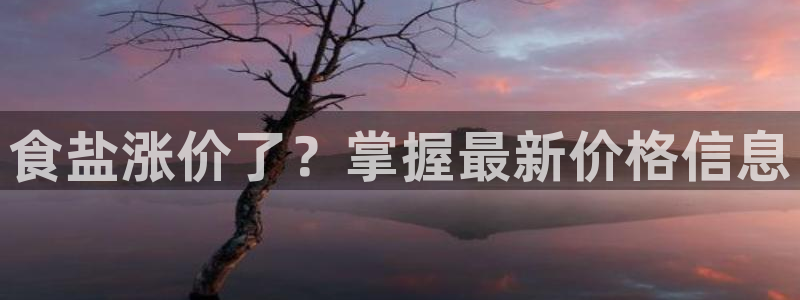 威九国际v96bet官网版