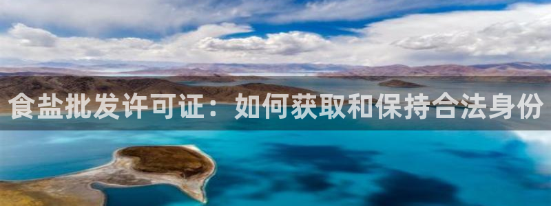 保定威九网络科技有限公司怎么样