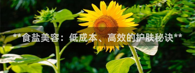 威九国际免费ppt网址