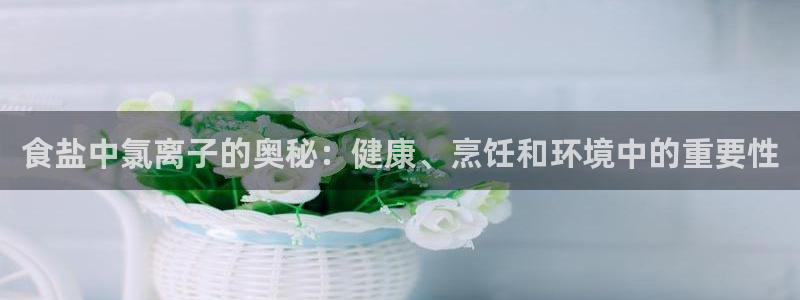 威九国际清砖码
