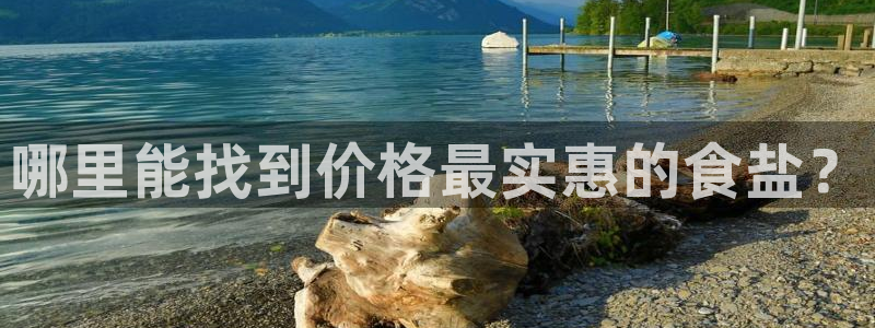 威九国际网站是多少