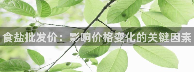 威九国际78m光伏巨头隆基绿能esg成色