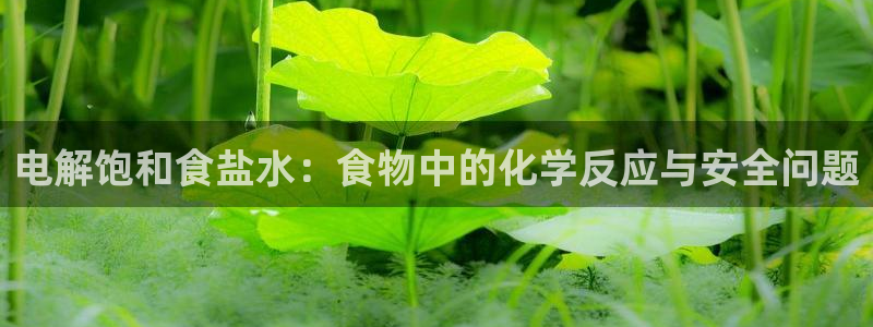 威九国际软件
