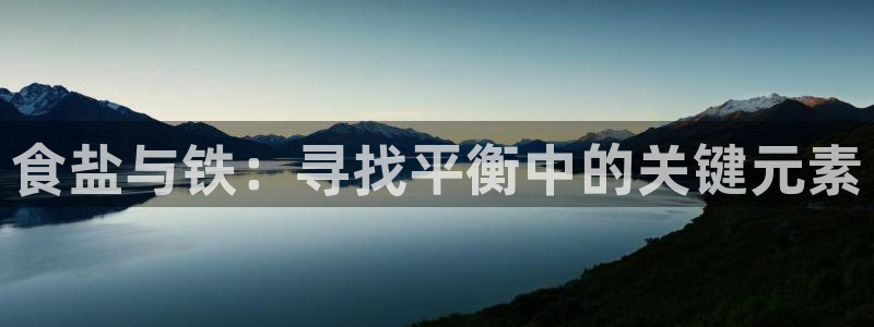 威九国际游戏app(网站)
