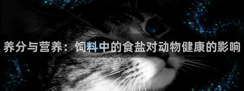 威九国际系列