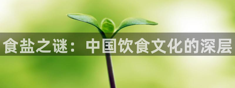 威九国际网站入口官网免费