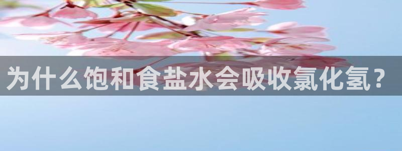 威九国际ppt免费下载