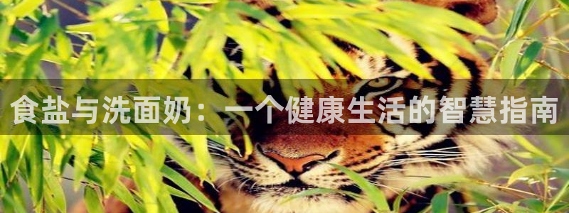 威九国际可以提现吗现在