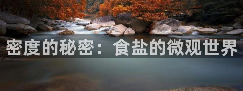 威九国际网站客服电话多少啊
