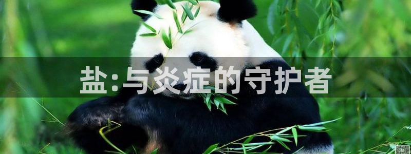 威九国际客服电话号码是多少