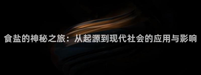 威九国际ppt免费下载