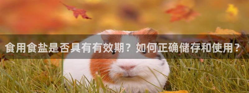 威九国际如何下载