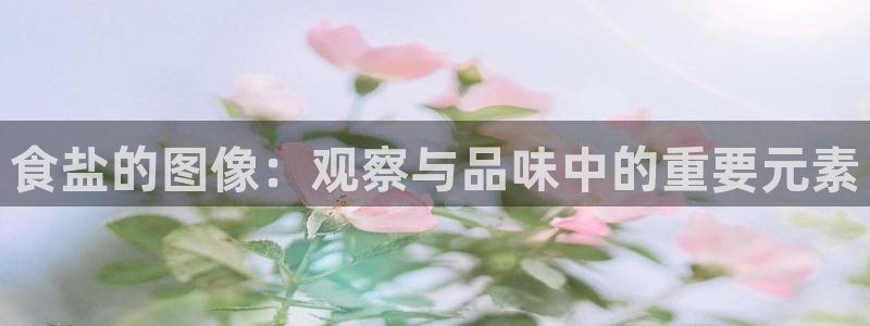威九国际免费游戏