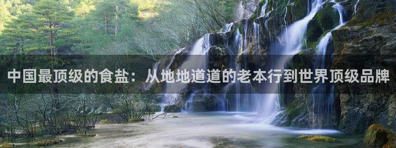 威九国际入口一