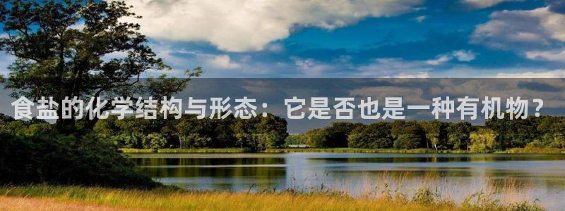 威九国际的网站入口在哪里
