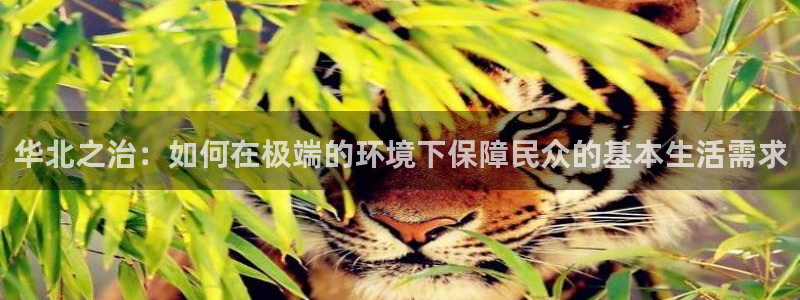 威九国际78mB官网版