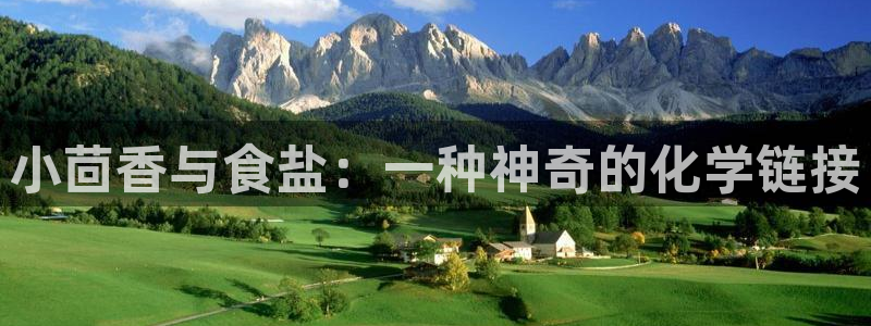 威九国际官方入口官网