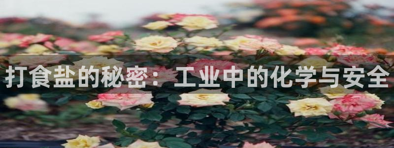 威九国际78m光伏巨头隆基绿能esg成色