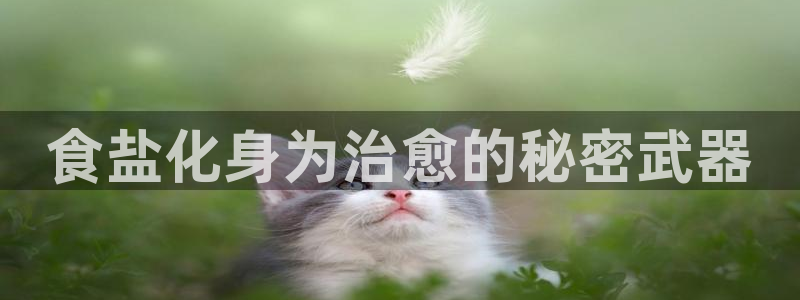 威九国际Info