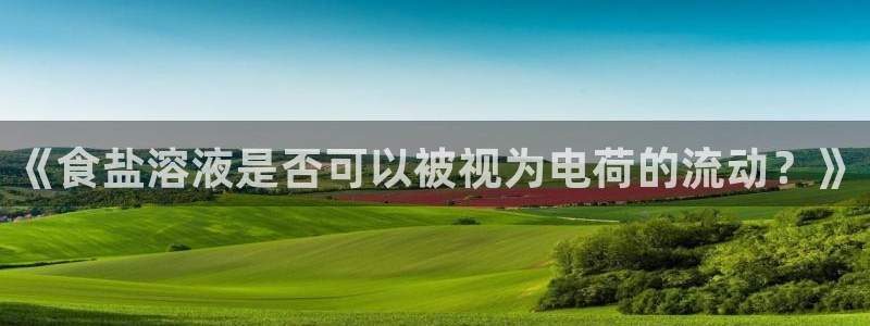 威九国际替好友去