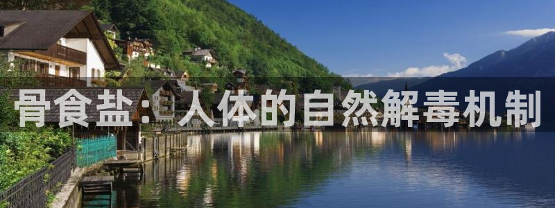 威九国际APP入口