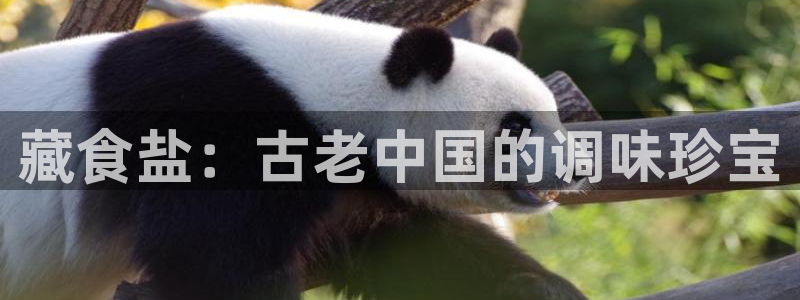 威九国际网站游戏