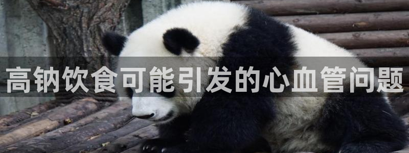 威九国际66m免费下载