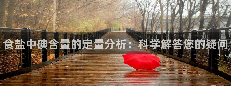 保定威九网络科技有限公司