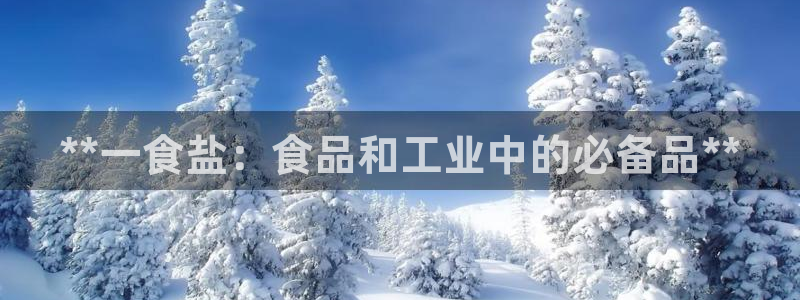 威九国际的演员