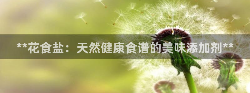 威九国际官网登录入口网址