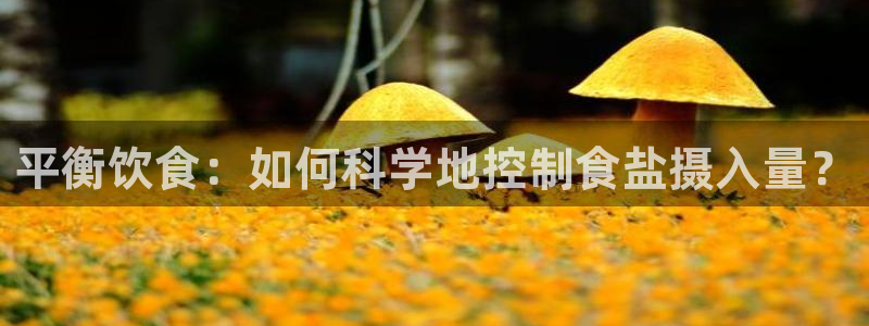 威九国际黄威尼斯