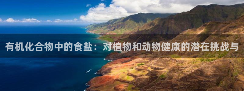 威九国际女主角