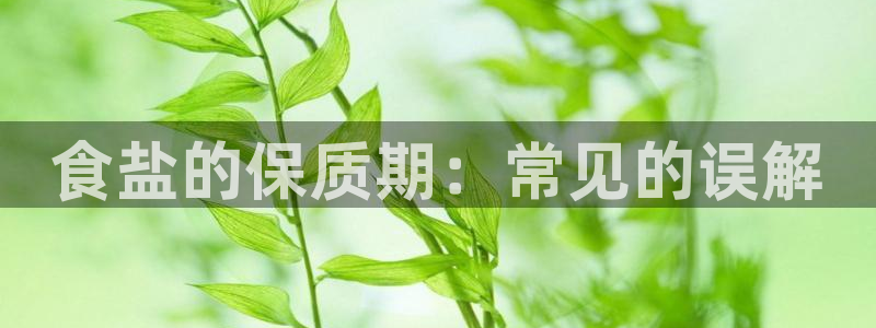 威九国际官网登录入口网址
