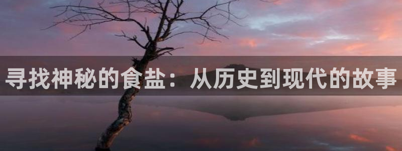 威九国际h5：寻找神秘的食盐：从历史到现代的故事