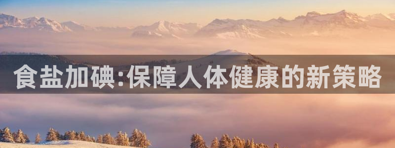 威九国际ppt免费下载