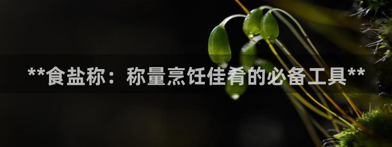 威九国际官网登录入口网址