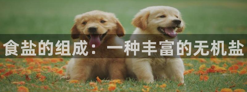 威九国际动漫