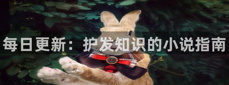 笔趣书阁小说免费